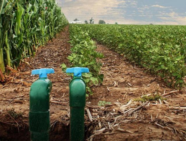 Manutenção de Bombas Submersas