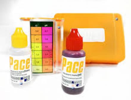 kit Ph e Cloro - Pace